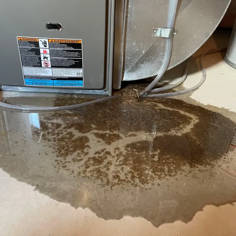 Appliance Leak Cleanup in Wailea, HI