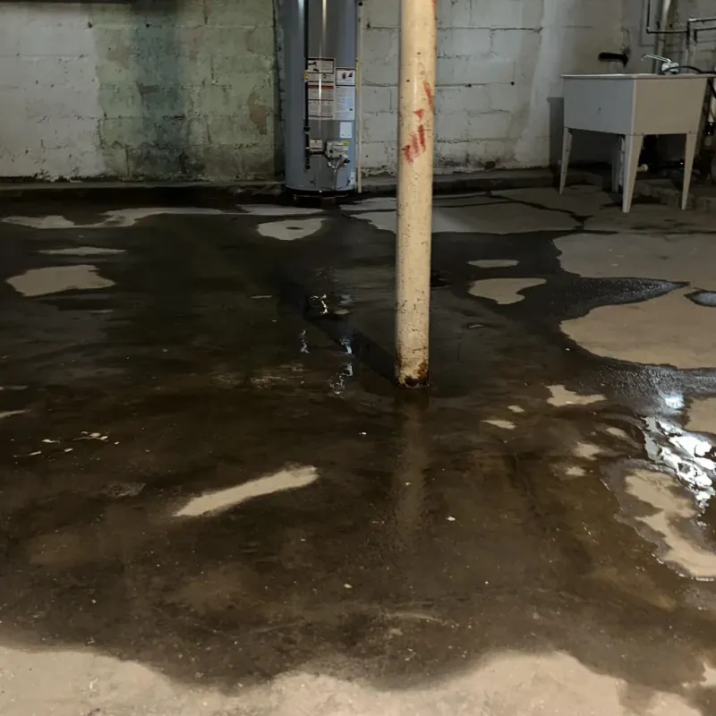 Emergency Water Extraction And Removal in Wailea, HI